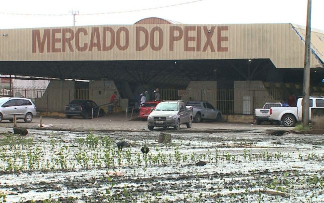 Mercado do Peixe em São Luís (MA)